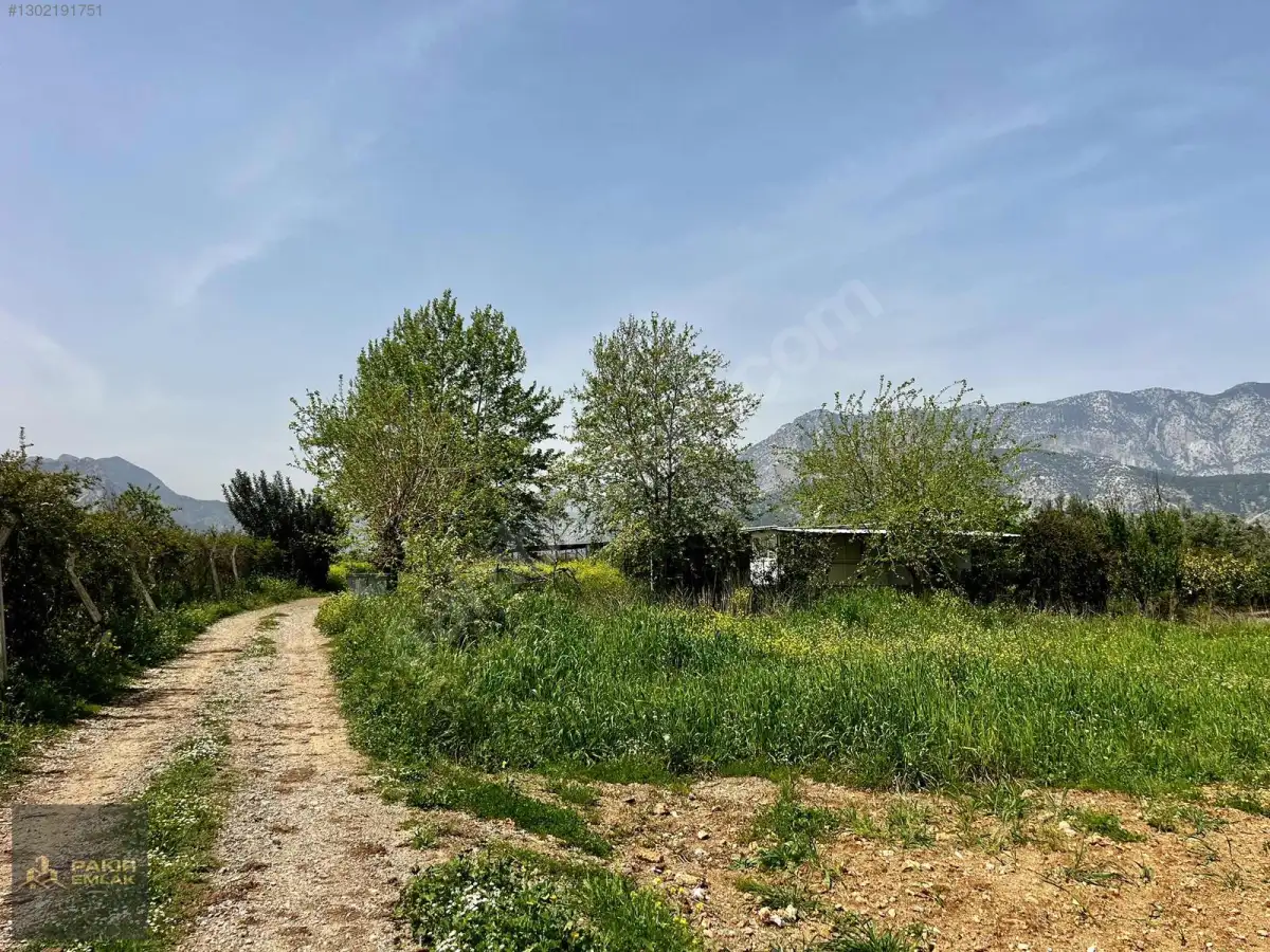 Döşemealtı Orta Mahallede, Yatırımlık Nar Bahçesi — fotoğraf 1