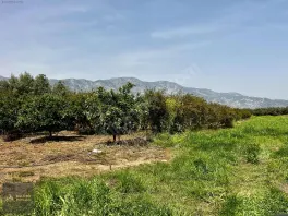 Döşemealtı Orta Mahallede, Yatırımlık Nar Bahçesi — fotoğraf 4