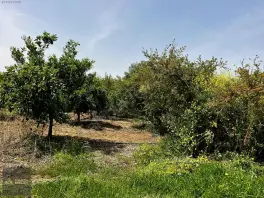 Döşemealtı Orta Mahallede, Yatırımlık Nar Bahçesi — fotoğraf 6
