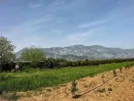 Döşemealtı Orta Mahallede, Yatırımlık Nar Bahçesi — fotoğraf 9