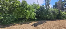 Bozova'da Korkuteli-Burdur Yolu Satılık Yatırımlık Bahçe — fotoğraf 11