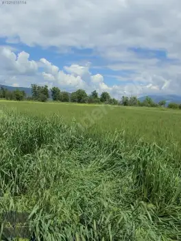 Korkuteli Bozova Kocaanbar'da 3.490 m² Verimli Tarla — fotoğraf 5