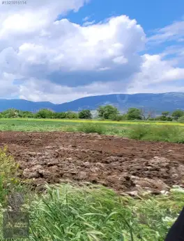 Korkuteli Bozova Kocaanbar'da 3.490 m² Verimli Tarla — fotoğraf 8