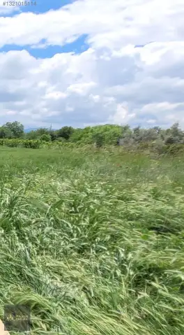 Korkuteli Bozova Kocaanbar'da 3.490 m² Verimli Tarla — fotoğraf 11