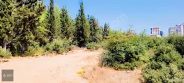 9.Katta Orman Esintisi | Serinevler Sitesinde Ferah 2+1 — fotoğraf 12