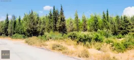 9.Katta Orman Esintisi | Serinevler Sitesinde Ferah 2+1 — fotoğraf 13