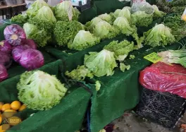 TOKİ'de Bilim Ünv Hastane Yakını Ferah Doğalgazlı Kiralık 2+1 — fotoğraf 31